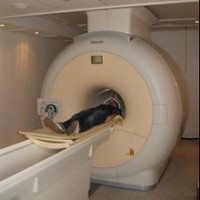 University of Nottingham 3T MRI