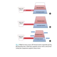 Figure 2 from article, CC by 3.0 licence