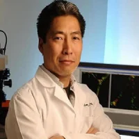 The laboratory of Masanobu Komatsu, Ph.D., studies the regulation of blood vessel growth and remodeling to aid the treatment of cancer and heart disease