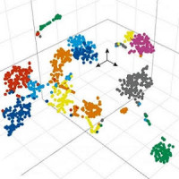 Illustration of the gene expression fingerprint of each single cell in a three-dimensional projection after bioinformatics analysis to identify the cellular phenotype.