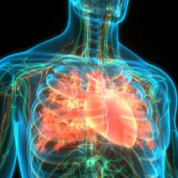 3D Mapping of Post-Infarction Scarring