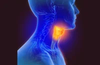 Advances in Radiomics for Preoperative Staging of Oesophageal Cancer