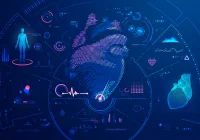 Machine Learning to Detect Arrhythmic Risk Factors in Mitral Valve Prolapse