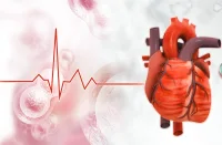 Heart Failure, Atrial Fibrillation, CHD and Cognitive Impairment