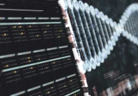 How Bioinformatics Support Personalised Medicine