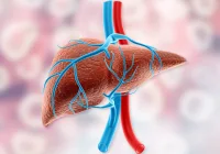 Vibration-Controlled Elastography: Impact of Steatosis on Fibrosis in CHB