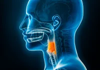 Advancing Predictive Radiomics for HSCC Management