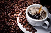 Coffee Consumption and Cognitive Performance in Patients With Atrial Fibrillation