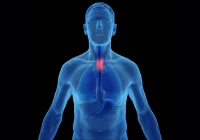 AI and Hyperspectral Imaging for Early Oesophageal Cancer Detection