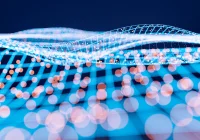 Achieving Digital Excellence with HIMSS Maturity Models