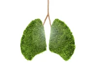 Sustainable Radiology: A Joint Statement on Environmental Impact