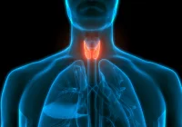 Advancing Cancer Diagnosis with 3D Computed Tomography