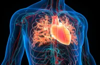 Withdrawal of Guideline-Directed Medical Therapy in Heart Failure