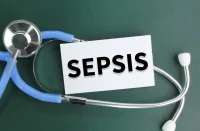 Sepsis Care in European Hospitals: Results from an International Survey