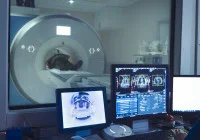 Radiology technician monitoring MRI scan of a patient in real time, with imaging data displayed on screens for precise diagnostic assessment and brain analysis.&nbsp;