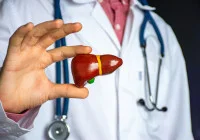 Doctor holding a liver model, representing hepatology and liver health care.&nbsp;