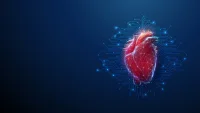 GRACE 3.0: How AI Is Revolutionising Risk Assessment for Heart Attack Patients&nbsp;