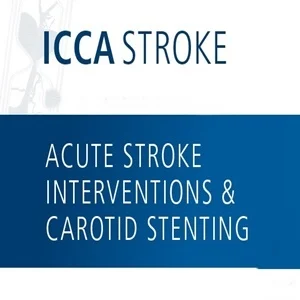 ICCA Stroke 2017