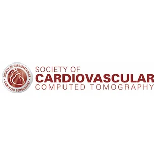 Procedural planning with cardiovascular CT: Focus on TAVR and LAA