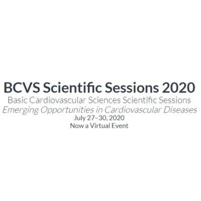 Basic Cardiovascular Sciences (BCVS) Scientific Sessions 2020