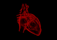 Revolutionising Sarcopenia Detection with Routine Cardiac MRI