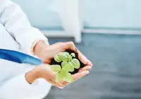 Close-up of a scientist in a lab coat holding a young green plant in a pot, symbolising biotechnology and sustainable research.&nbsp;