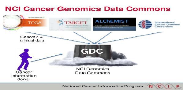 University of Chicago to Establish Genomic Data Commons University of Chicago to Establish Genomic Data Commons