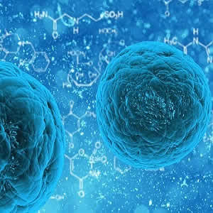Cardiac Stem Cells From Heart Disease Patients May Be Harmful Cardiac Stem Cells From Heart Disease Patients May Be Harmful