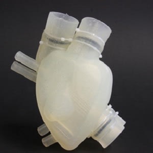 The soft artificial heart resembles the human heart in appearance and function. The soft artificial heart resembles the human heart in appearance and function.