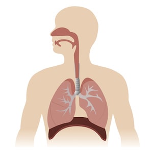 Clinical significance of viral detection in critically ill patients Clinical significance of viral detection in critically ill patients