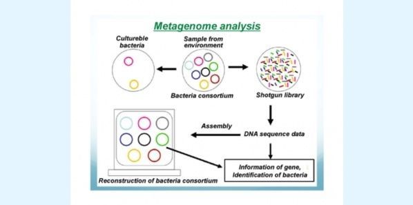 dna sequencing method to diagnose tb