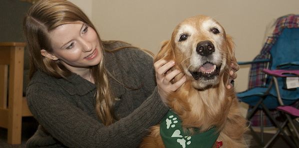 Pet Therapy For Hospital Employee Stress