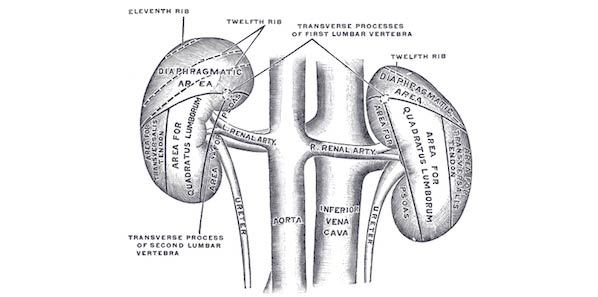 CKD Research Could Benefit From Changes To Progression Measurements CKD Research Could Benefit From Changes To Progression Measurements