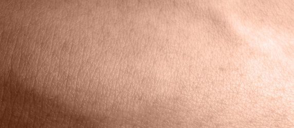 Artificial Skin Grown from Umbilical Cord Stem Cells Artificial Skin Grown from Umbilical Cord Stem Cells