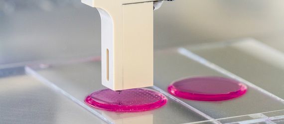 How To Print Your Own Tissue Types How To Print Your Own Tissue Types