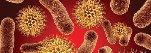 Personalised Treatment for Cancer Patients with Pneumonia Personalised Treatment for Cancer Patients with Pneumonia