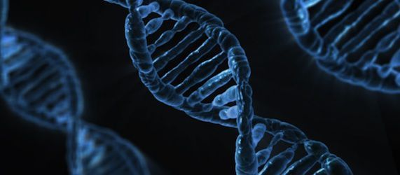 Tumour Promoting Gene Discovered Tumour Promoting Gene Discovered