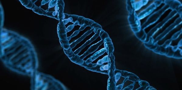 Genetics Guide Personalised Cardiovascular Therapy Genetics Guide Personalised Cardiovascular Therapy
