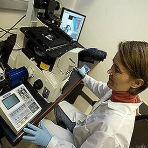 molecular genetics research molecular genetics research