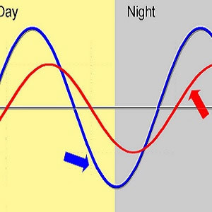How Circadian Disruption Affects ICU Patients How Circadian Disruption Affects ICU Patients