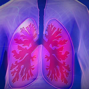 Study: Lung Ultrasound Helpful in Pulmonary Embolism Diagnosis Study: Lung Ultrasound Helpful in Pulmonary Embolism Diagnosis