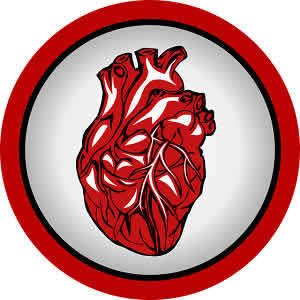 Prognostic Value of Non-invasive Cardiac Exams in CAD Patients Prognostic Value of Non-invasive Cardiac Exams in CAD Patients