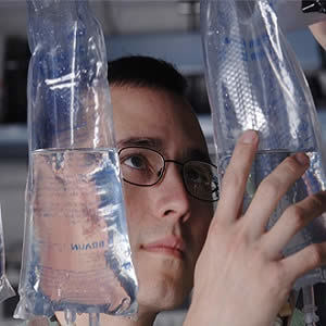 Fluid Challenge: Its Impact on Fluid Responsiveness Fluid Challenge: Its Impact on Fluid Responsiveness