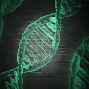 Google AI precision medicine tool open source Google AI precision medicine tool open source