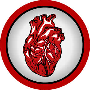 New marker helps identify heart attack patients most at risk New marker helps identify heart attack patients most at risk