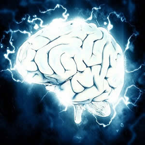 Brain impairment in sepsis patients: is gut bacteria to blame? Brain impairment in sepsis patients: is gut bacteria to blame?