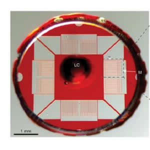 New method for rapid sepsis diagnosis New method for rapid sepsis diagnosis