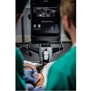 efficiency anaesthesia healthmanagement sonosite relies scanning