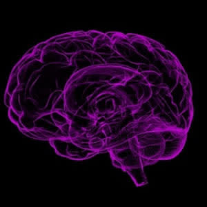 PET imaging tool measures synaptic loss in Alzheimer's disease PET imaging tool measures synaptic loss in Alzheimer's disease