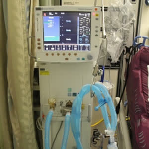 Indirect calorimetry still the best REE assessment tool for ventilated patients Indirect calorimetry still the best REE assessment tool for ventilated patients